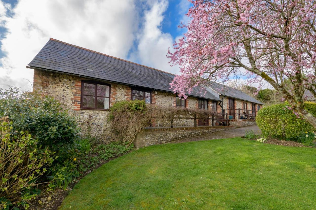 Luccombe Farm Holiday Cottages Milton Abbas Extérieur photo