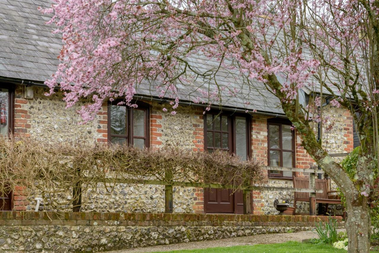 Luccombe Farm Holiday Cottages Milton Abbas Extérieur photo