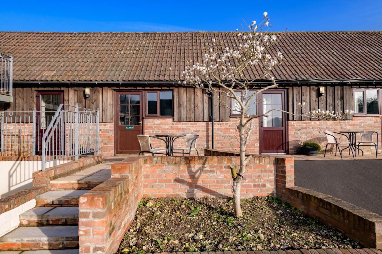 Luccombe Farm Holiday Cottages Milton Abbas Extérieur photo