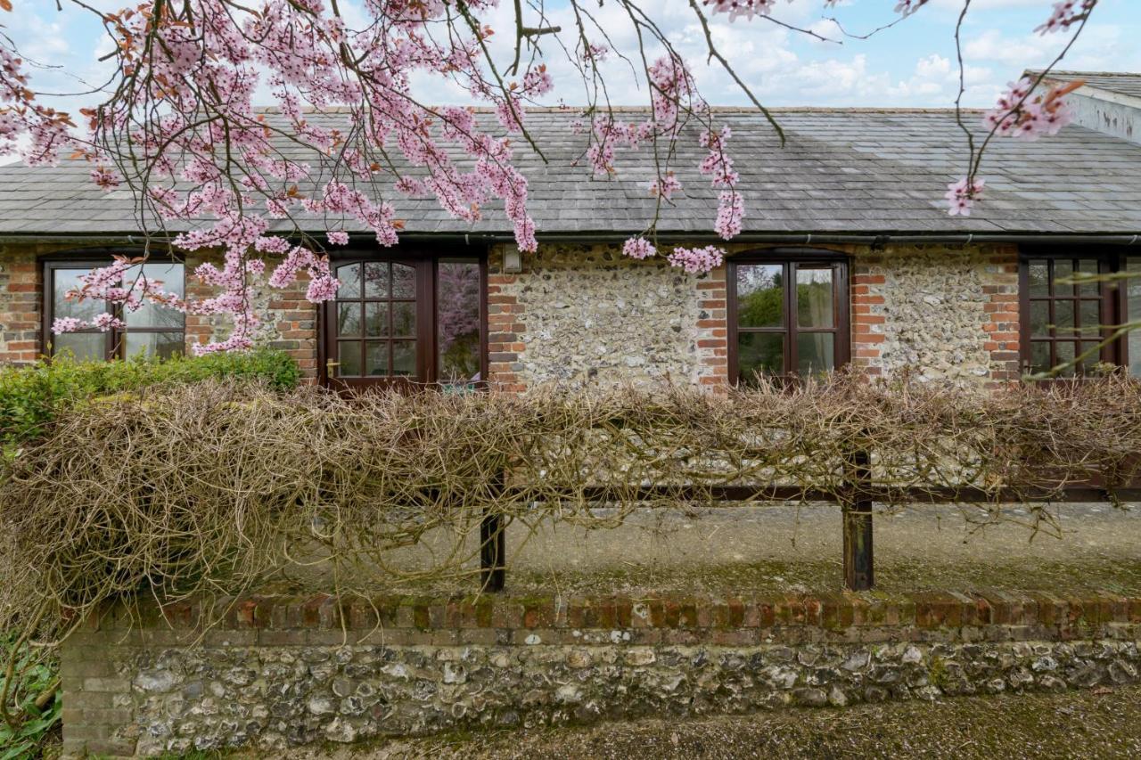 Luccombe Farm Holiday Cottages Milton Abbas Extérieur photo