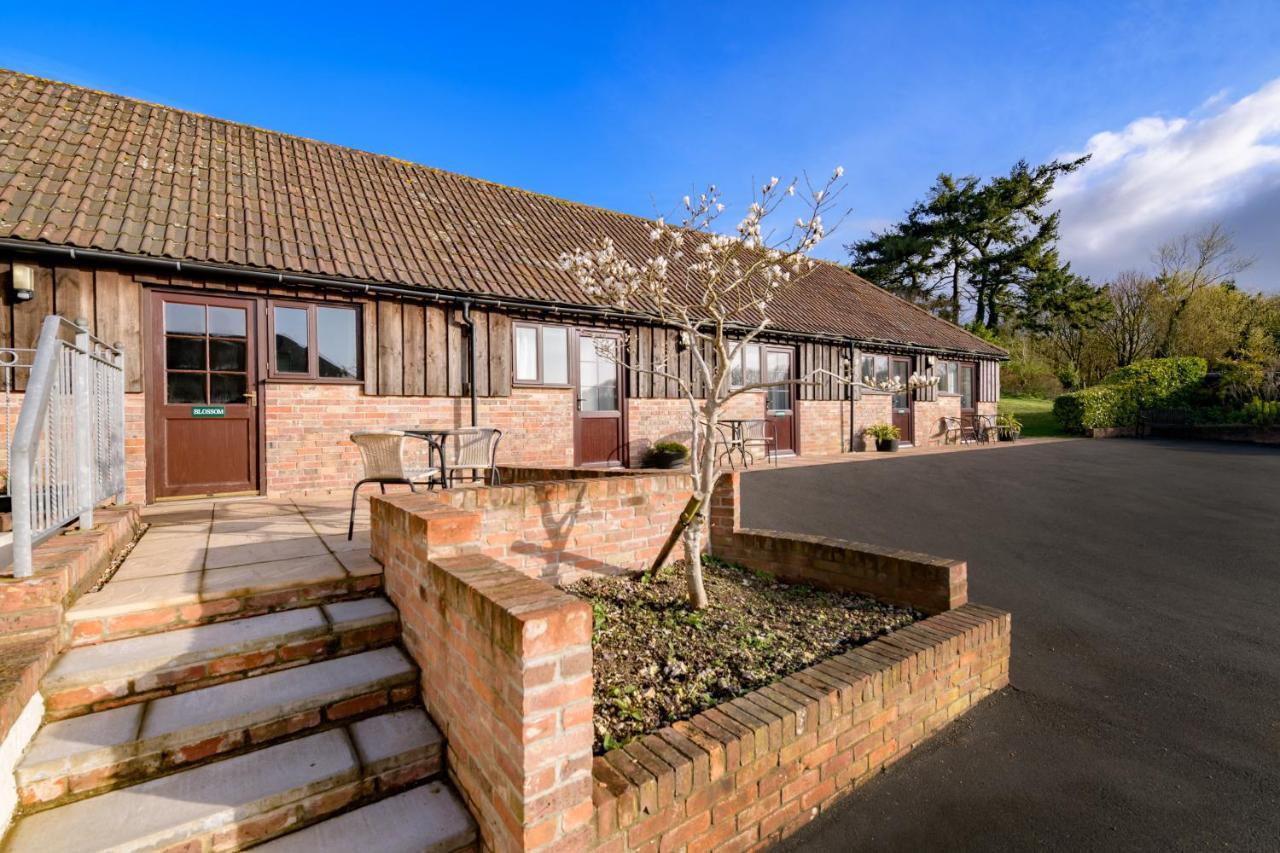 Luccombe Farm Holiday Cottages Milton Abbas Extérieur photo